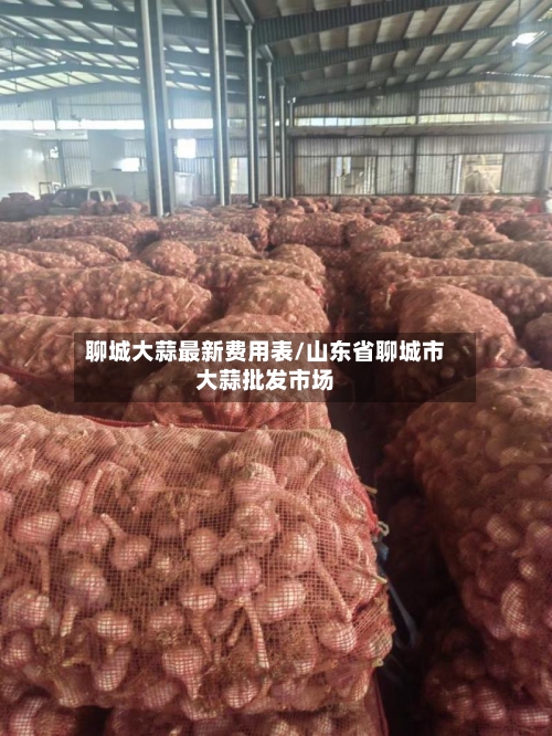 聊城大蒜最新费用表/山东省聊城市大蒜批发市场