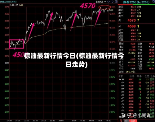 棕油最新行情今日(棕油最新行情今日走势)