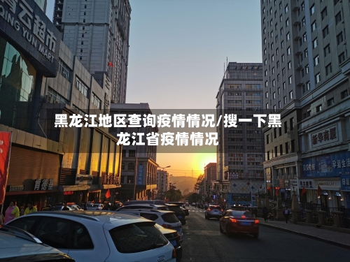 黑龙江地区查询疫情情况/搜一下黑龙江省疫情情况-第2张图片