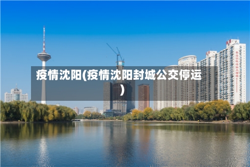 疫情沈阳(疫情沈阳封城公交停运)-第3张图片