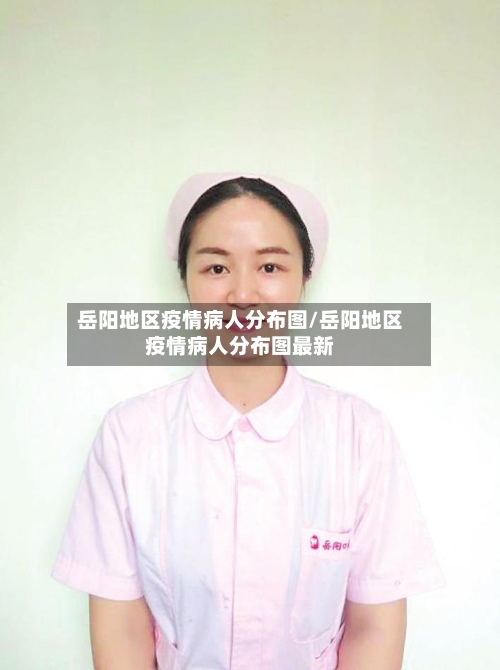 岳阳地区疫情病人分布图/岳阳地区疫情病人分布图最新-第2张图片