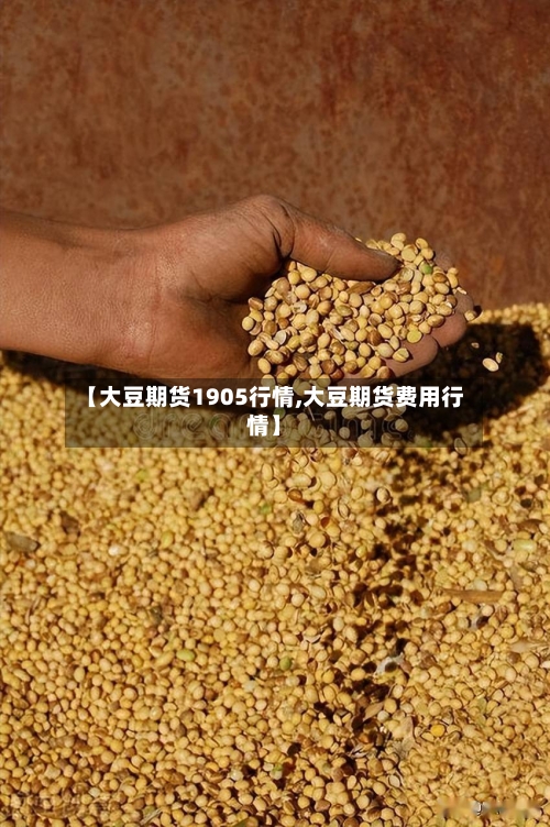 【大豆期货1905行情,大豆期货费用行情】
