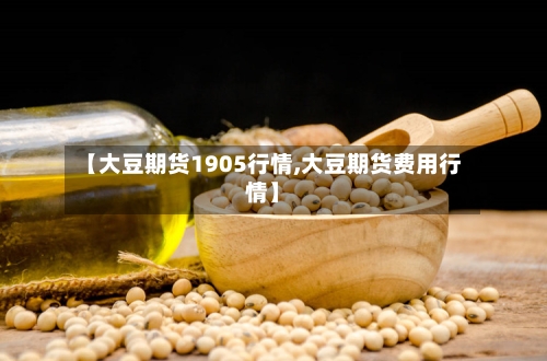 【大豆期货1905行情,大豆期货费用行情】-第3张图片