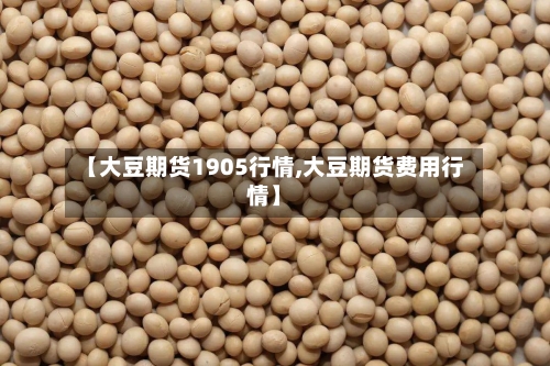 【大豆期货1905行情,大豆期货费用行情】-第2张图片