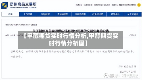【甲醇期货实时行情分析,甲醇期货实时行情分析图】-第2张图片