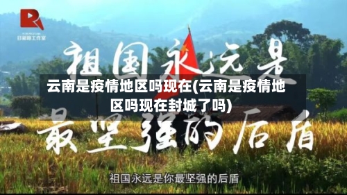 云南是疫情地区吗现在(云南是疫情地区吗现在封城了吗)-第2张图片