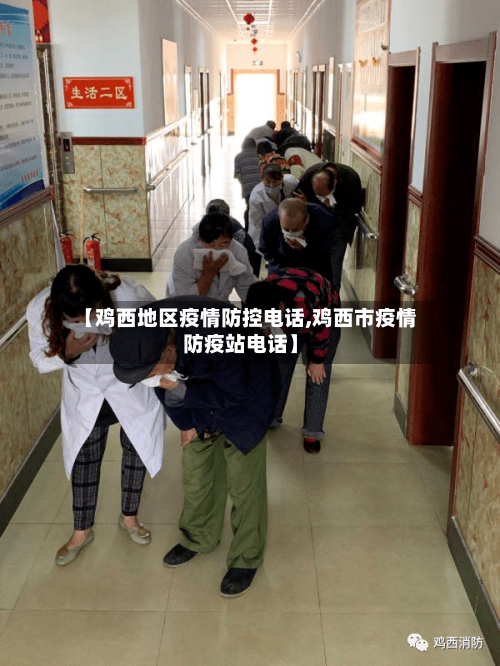 【鸡西地区疫情防控电话,鸡西市疫情防疫站电话】-第2张图片