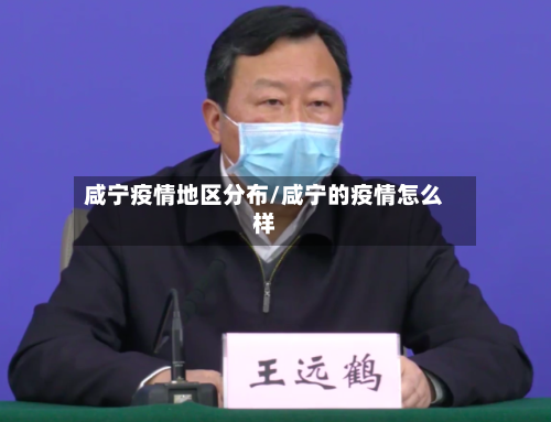 咸宁疫情地区分布/咸宁的疫情怎么样