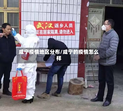 咸宁疫情地区分布/咸宁的疫情怎么样-第2张图片
