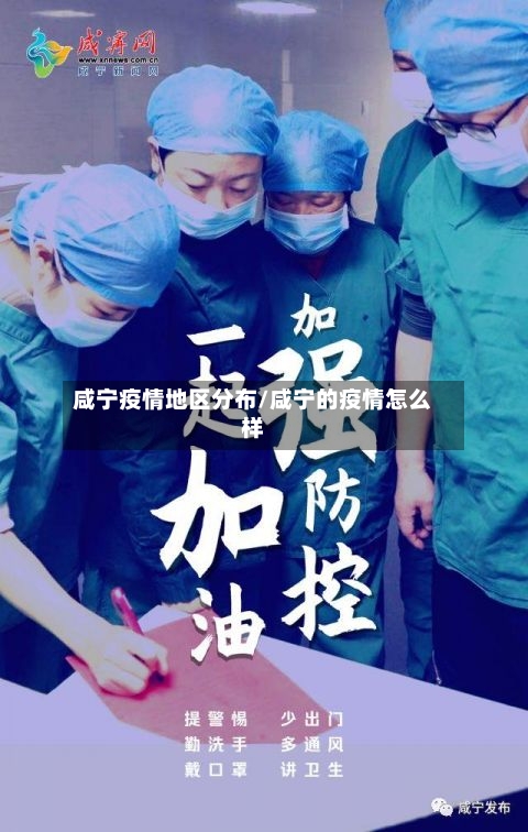 咸宁疫情地区分布/咸宁的疫情怎么样-第3张图片
