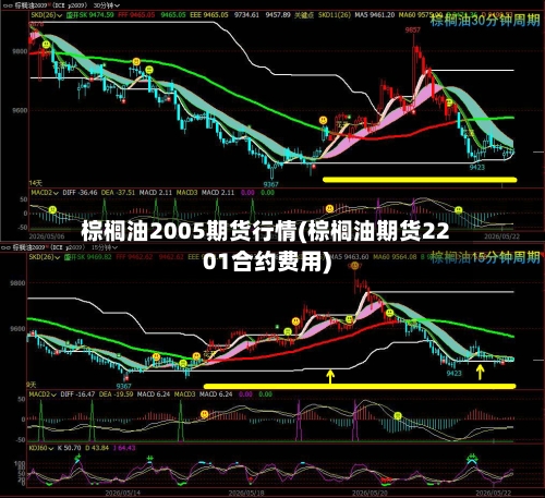 棕榈油2005期货行情(棕榈油期货2201合约费用)-第3张图片