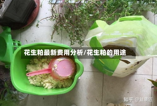 花生粕最新费用分析/花生粕的用途