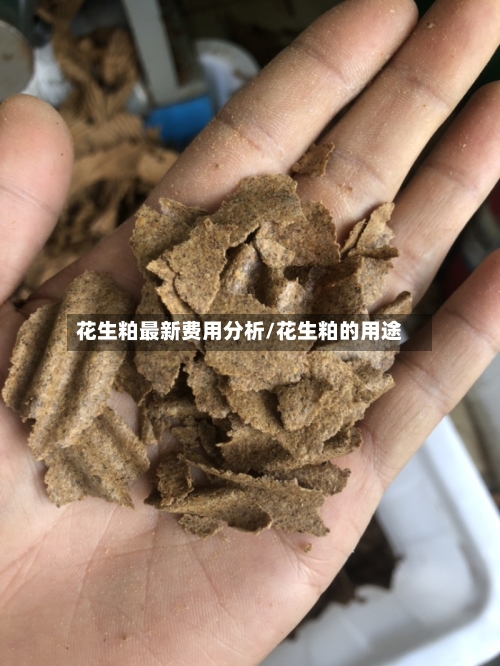 花生粕最新费用分析/花生粕的用途-第3张图片