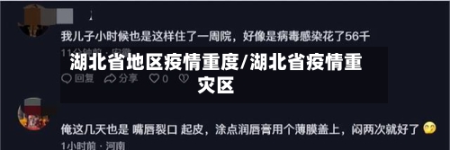 湖北省地区疫情重度/湖北省疫情重灾区