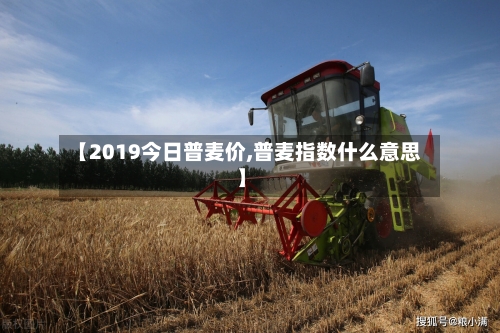 【2019今日普麦价,普麦指数什么意思】-第2张图片