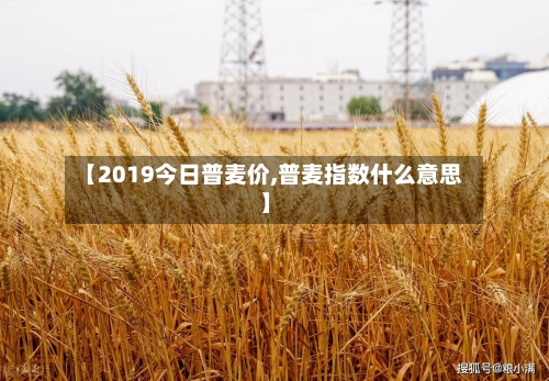 【2019今日普麦价,普麦指数什么意思】-第3张图片