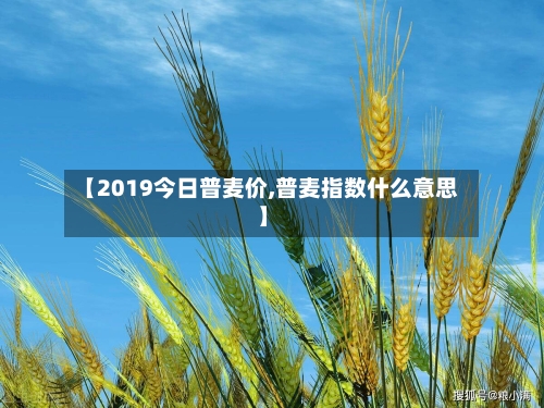 【2019今日普麦价,普麦指数什么意思】