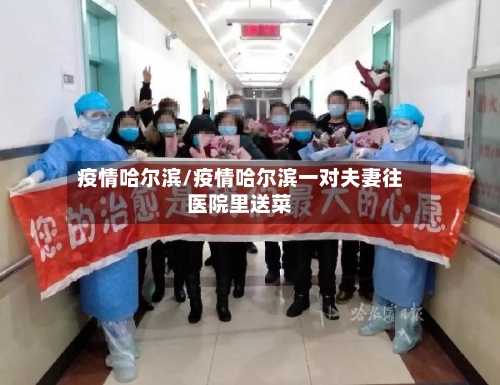 疫情哈尔滨/疫情哈尔滨一对夫妻往医院里送菜