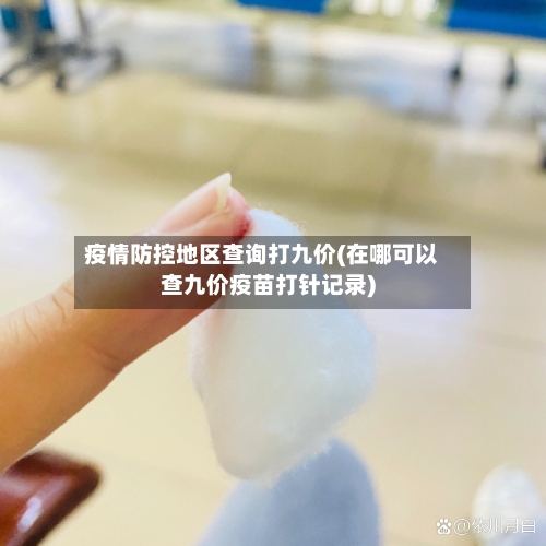 疫情防控地区查询打九价(在哪可以查九价疫苗打针记录)