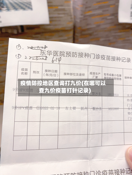 疫情防控地区查询打九价(在哪可以查九价疫苗打针记录)-第2张图片