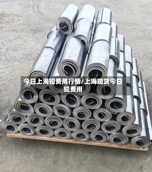 今日上海铅费用行情/上海现货今日铅费用-第2张图片