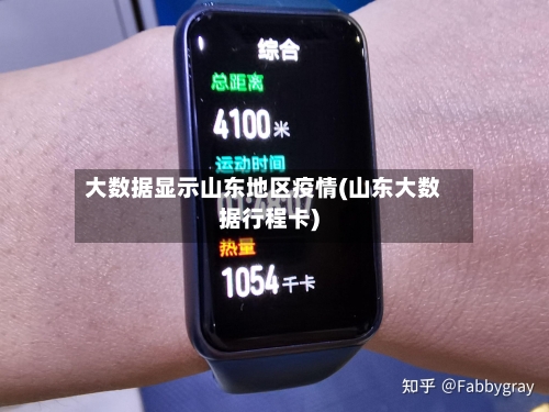 大数据显示山东地区疫情(山东大数据行程卡)