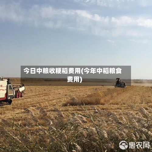 今日中粮收粳稻费用(今年中稻粮食费用)