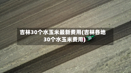吉林30个水玉米最新费用(吉林各地30个水玉米费用)-第2张图片