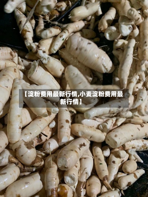 【淀粉费用最新行情,小麦淀粉费用最新行情】-第2张图片