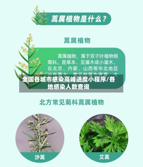 全国各城市感染高峰进度小程序/各地感染人数查询-第3张图片
