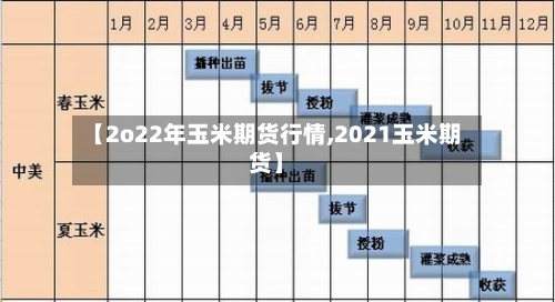 【2o22年玉米期货行情,2021玉米期货】