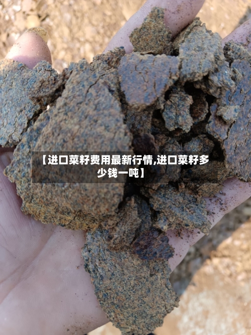 【进口菜籽费用最新行情,进口菜籽多少钱一吨】-第2张图片