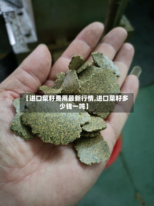 【进口菜籽费用最新行情,进口菜籽多少钱一吨】