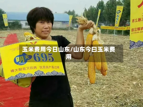 玉米费用今日山东/山东今曰玉米费用