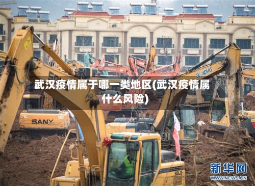 武汉疫情属于哪一类地区(武汉疫情属什么风险)-第2张图片