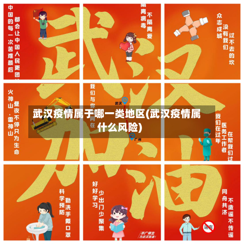 武汉疫情属于哪一类地区(武汉疫情属什么风险)-第3张图片