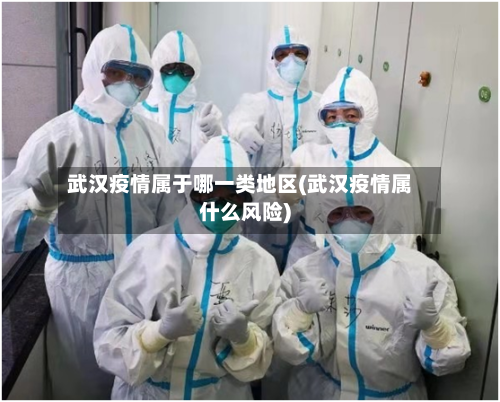 武汉疫情属于哪一类地区(武汉疫情属什么风险)