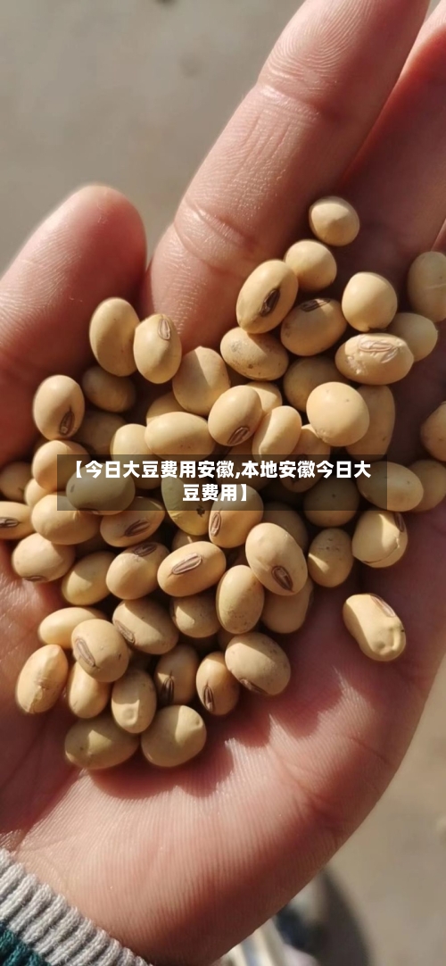 【今日大豆费用安徽,本地安徽今日大豆费用】