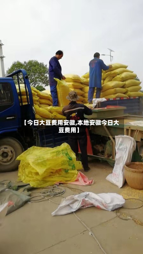 【今日大豆费用安徽,本地安徽今日大豆费用】-第2张图片