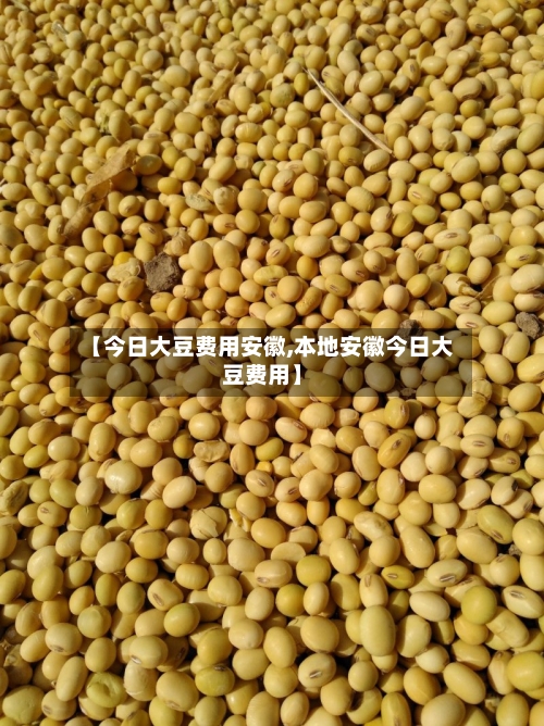 【今日大豆费用安徽,本地安徽今日大豆费用】-第3张图片