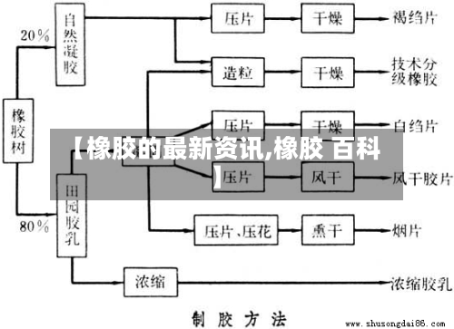 【橡胶的最新资讯,橡胶 百科】-第2张图片