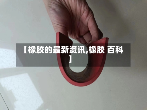 【橡胶的最新资讯,橡胶 百科】-第3张图片