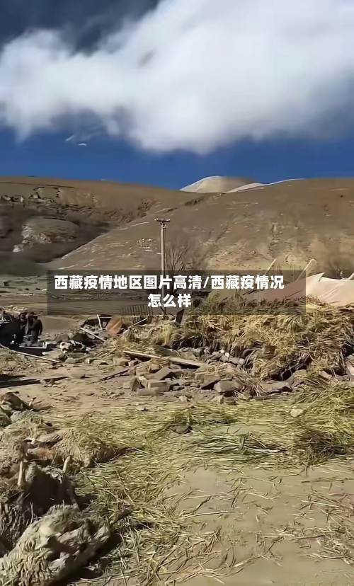 西藏疫情地区图片高清/西藏疫情况怎么样