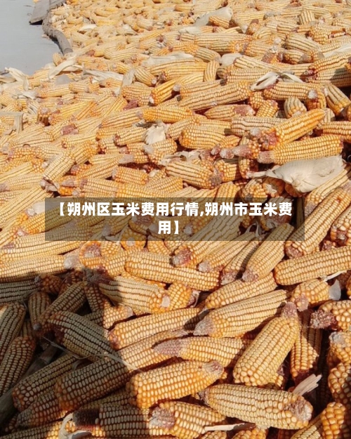【朔州区玉米费用行情,朔州市玉米费用】