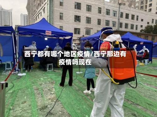 西宁都有哪个地区疫情/西宁那边有疫情吗现在-第2张图片