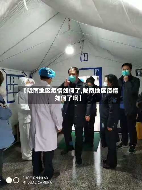 【陇南地区疫情如何了,陇南地区疫情如何了啊】-第2张图片