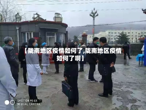 【陇南地区疫情如何了,陇南地区疫情如何了啊】