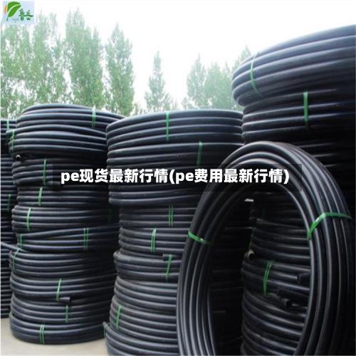 pe现货最新行情(pe费用最新行情)