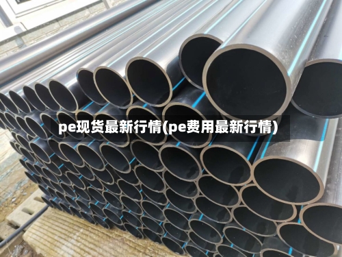 pe现货最新行情(pe费用最新行情)-第2张图片