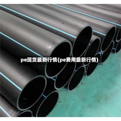 pe现货最新行情(pe费用最新行情)-第3张图片